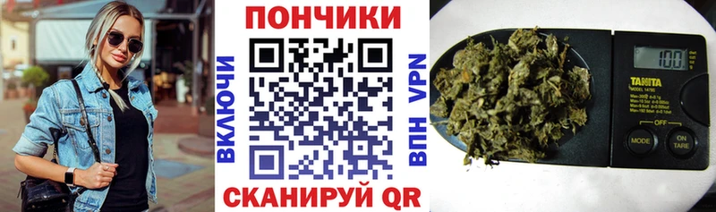 Канабис сатива  Купить закладки  Любим 